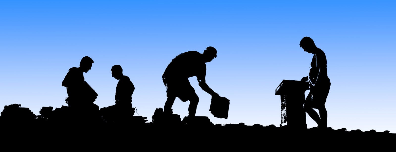 Roof Installation Project