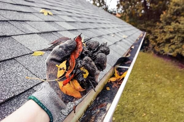 Fall Gutter Maintenance