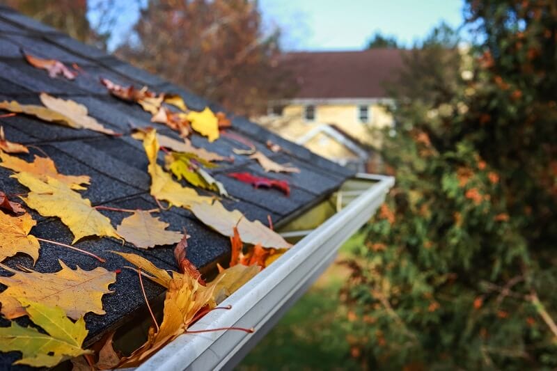 Fall Roof Maintenance Pic