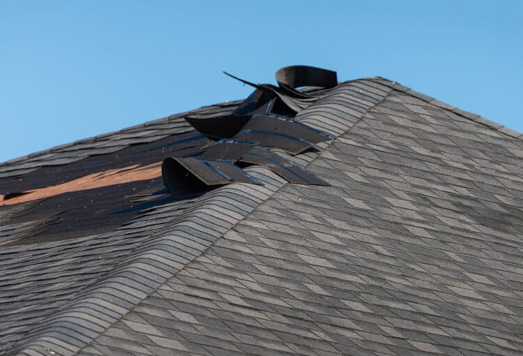Wind Damaged Shingles image